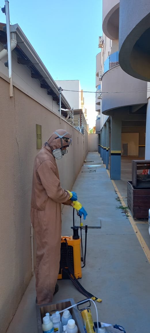 WhatsApp Image 2025-05-14 at 09.39.25