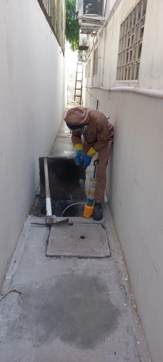 WhatsApp Image 2025-05-14 at 09.52.40